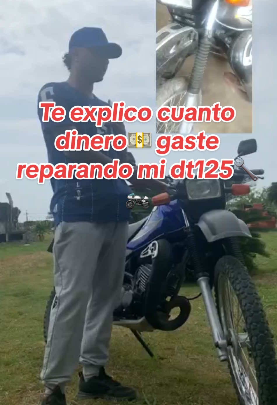 @Perro redes