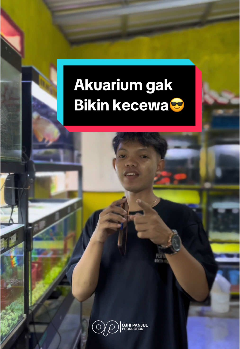@Panjul Aquafish