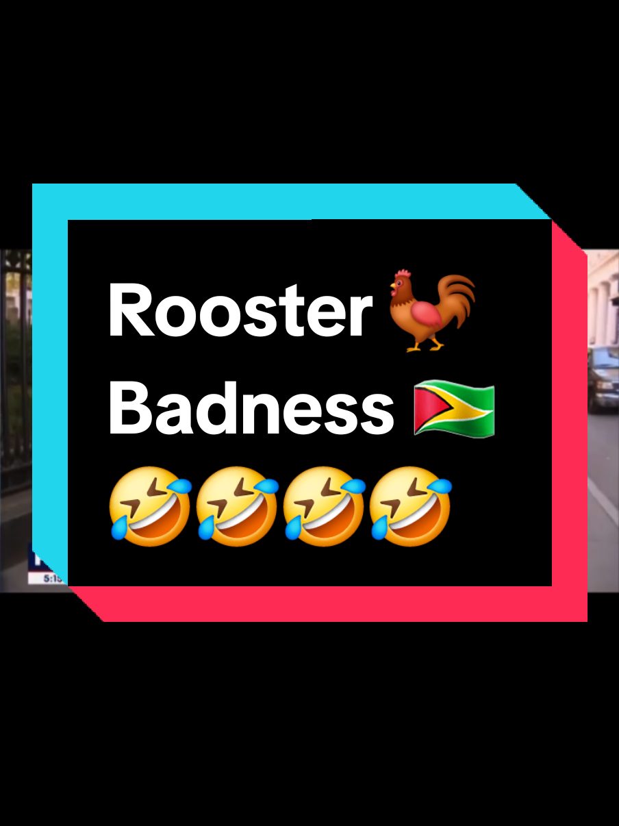 @Guyanese Rainmaker 🇬🇾