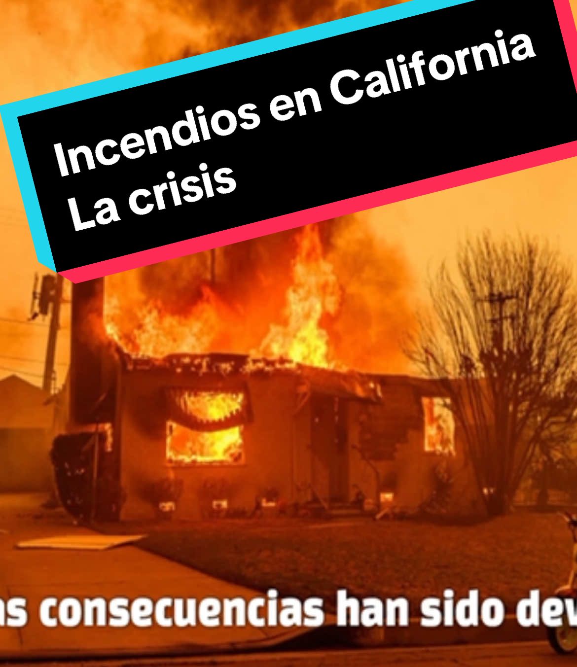 @La Neta Del Ambiente