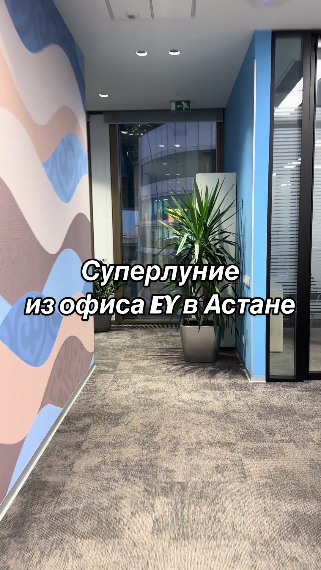 @ayakoz.7
