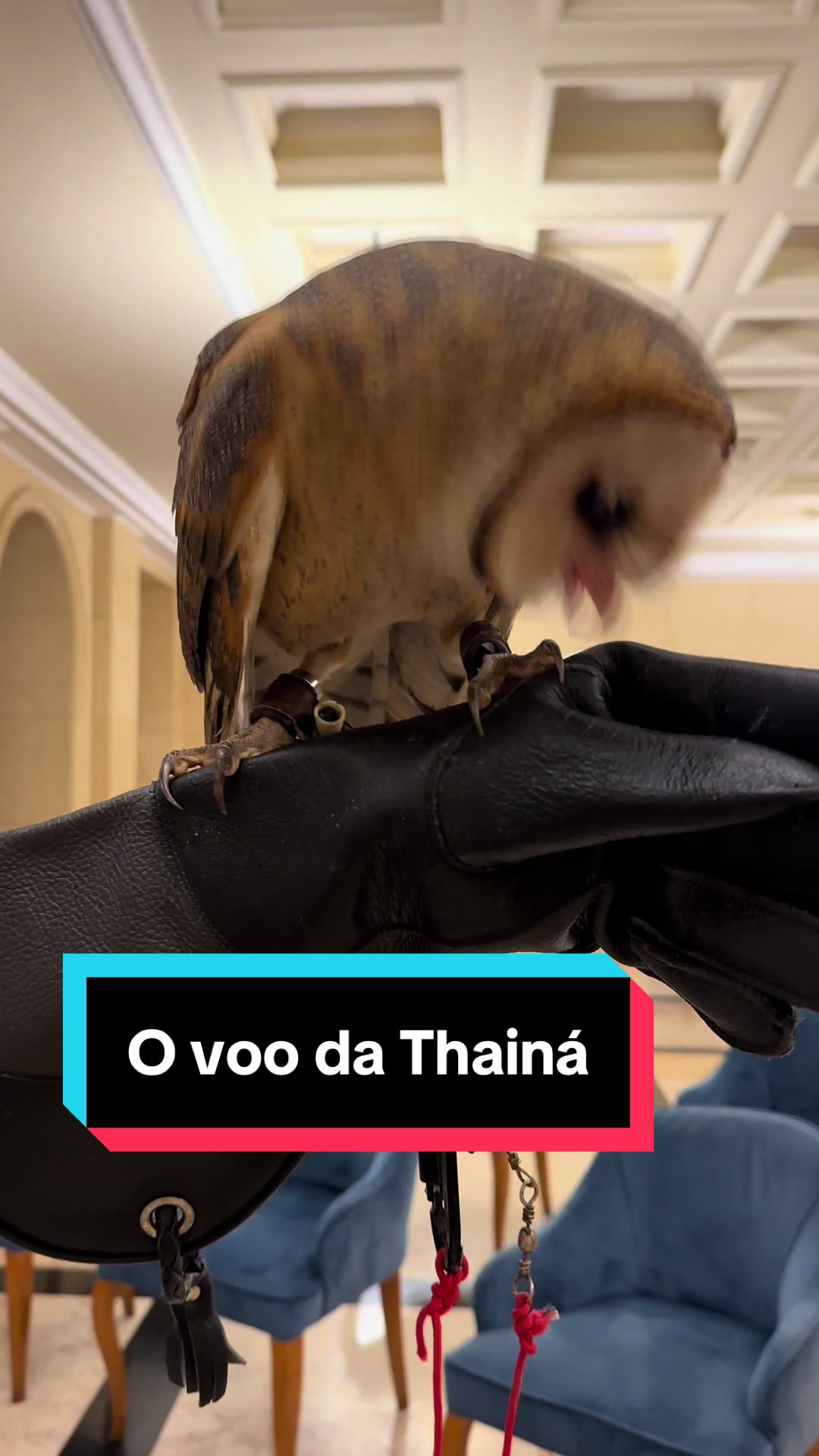 @Eubiologodiego