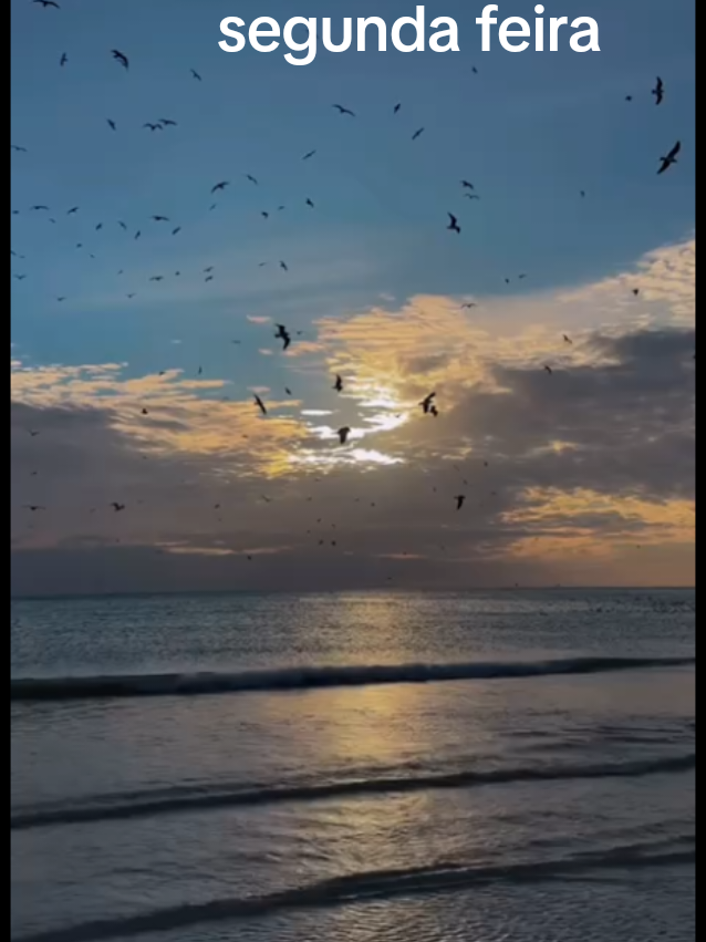 @palavra de Deus