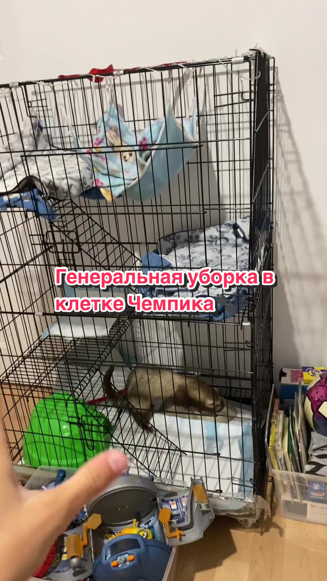 @F_u_r_e_t🐾✨🤍