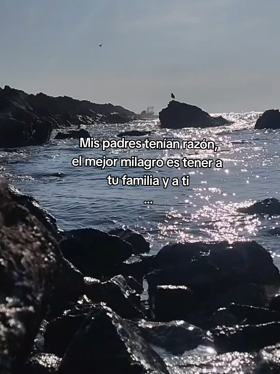 @ANGELA 🌊🧜🏻&zwj;♀️🤍🪽
