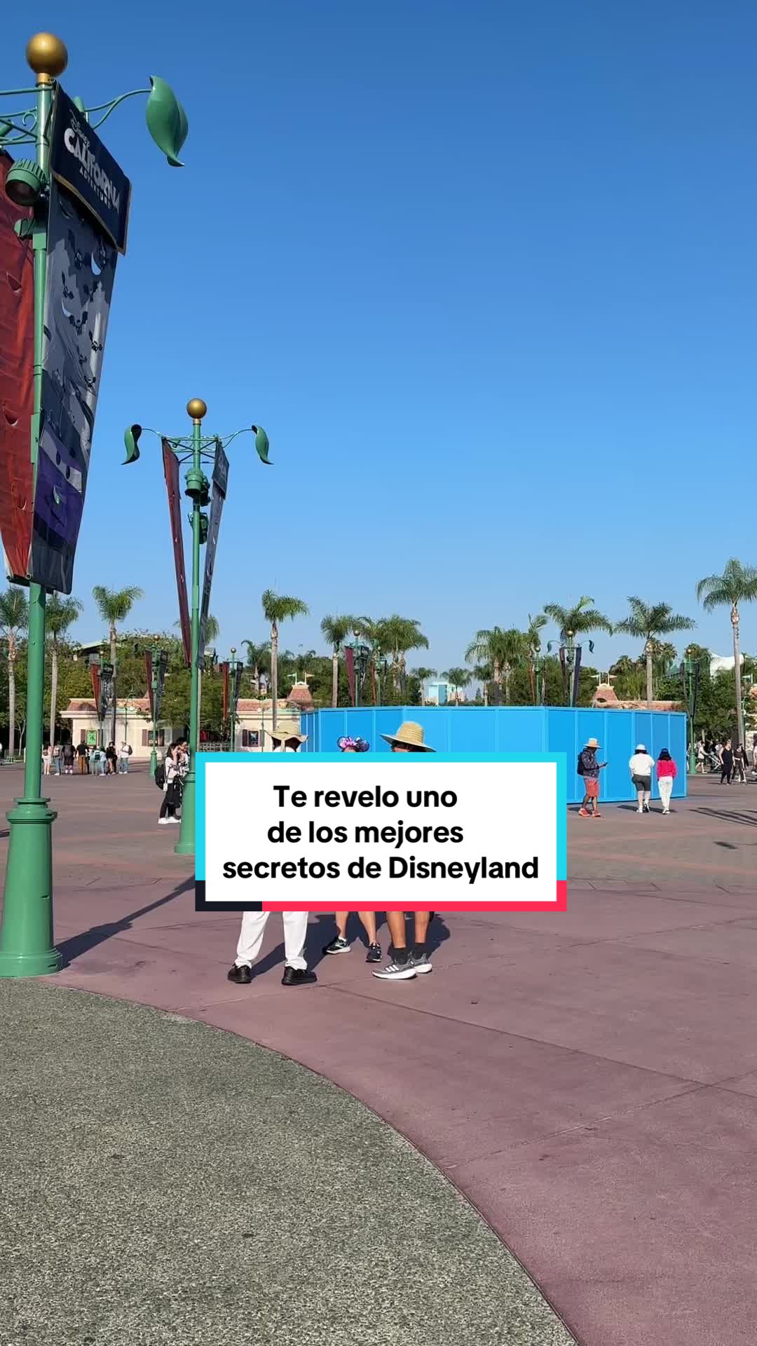 @Criss Ponce/ Travel-F1- Disney