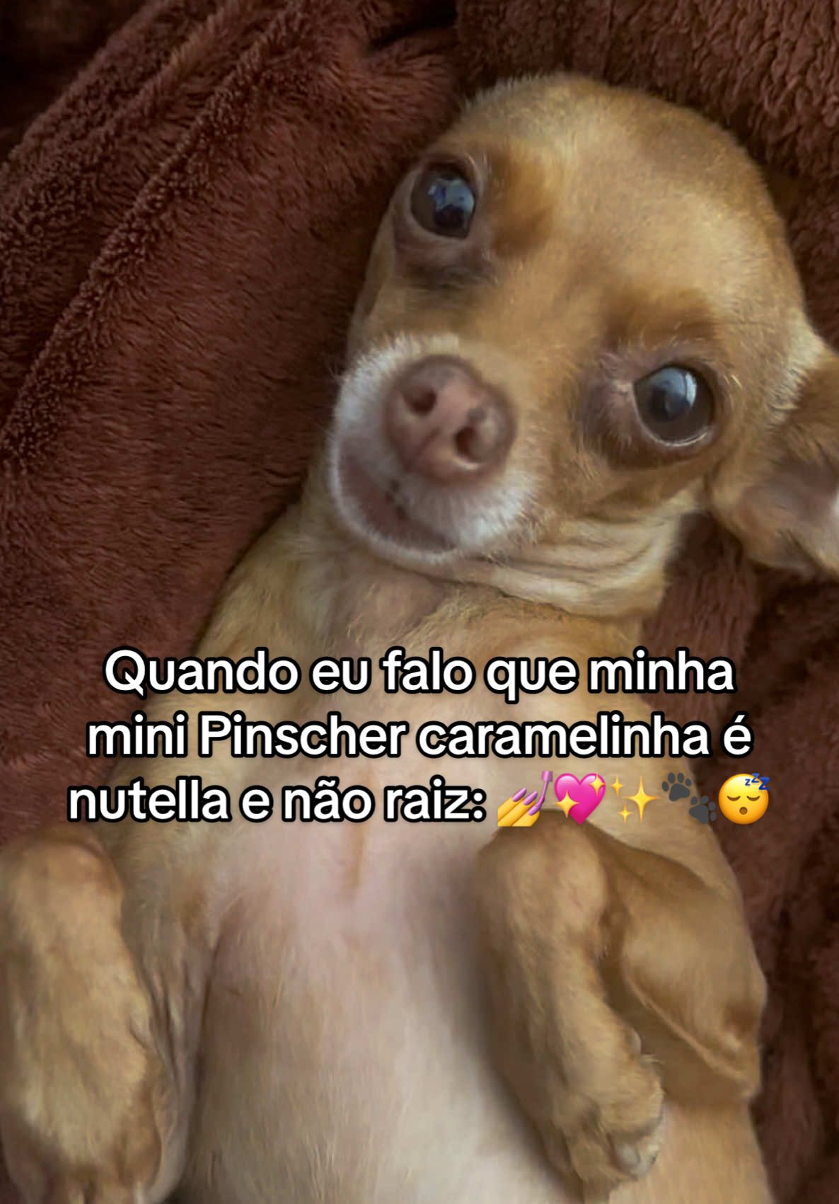 @Emily Dias