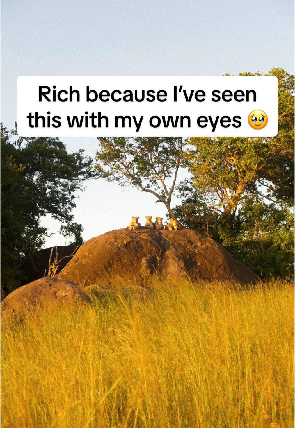 @yetanotheremily