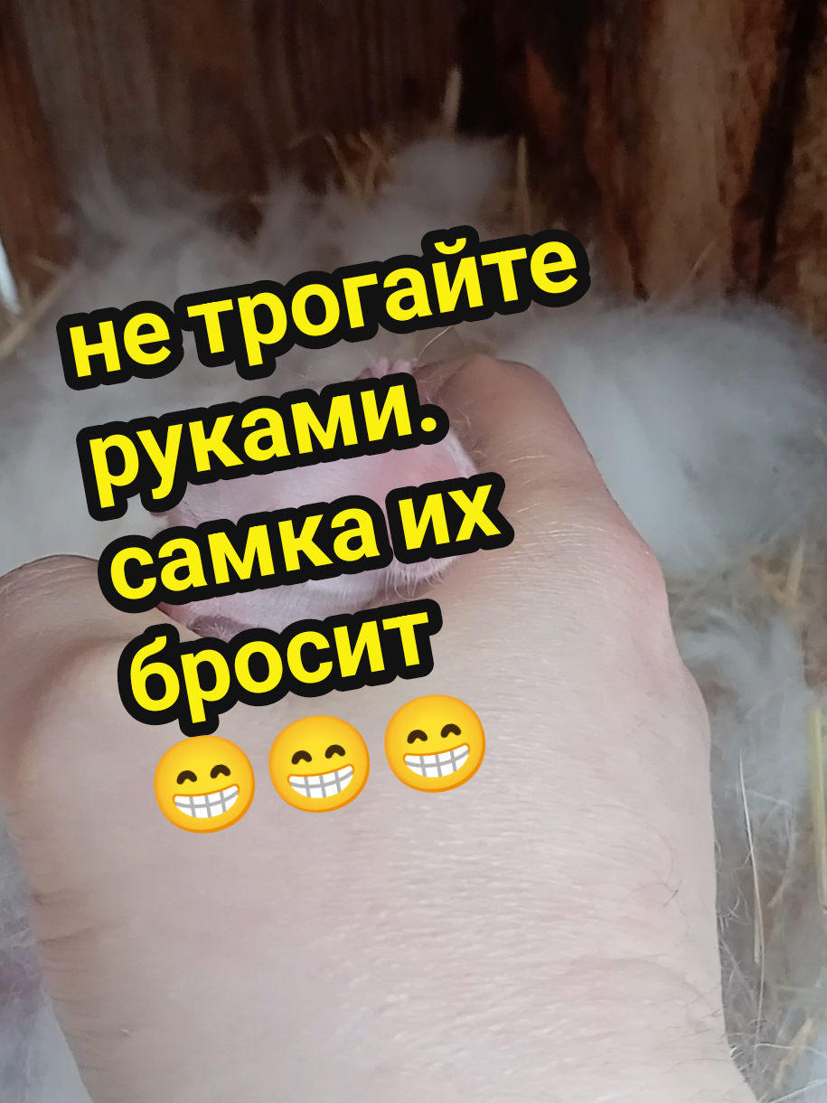 @Matveenkov_Aleksandr