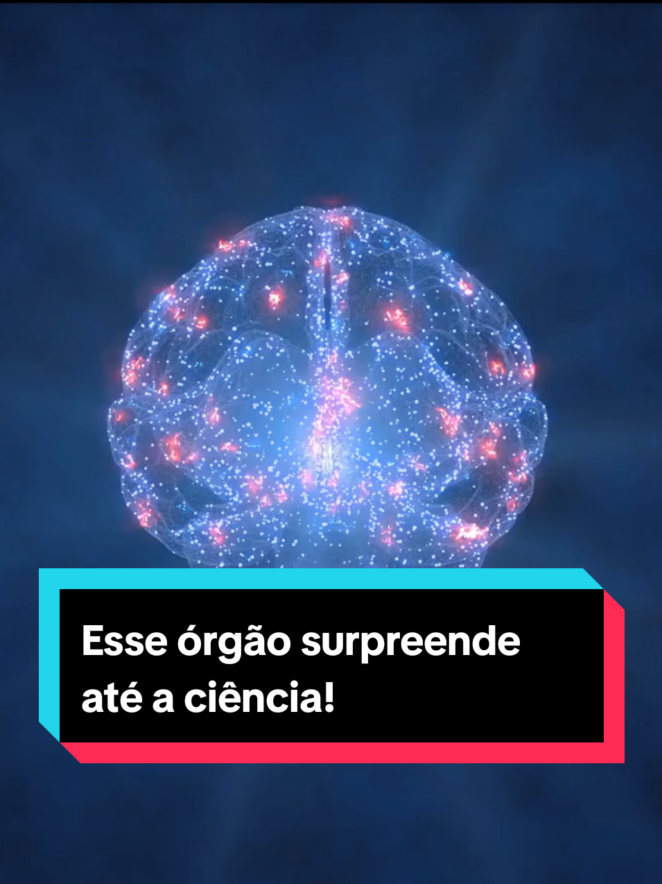 @Curiosidade Di&aacute;ria