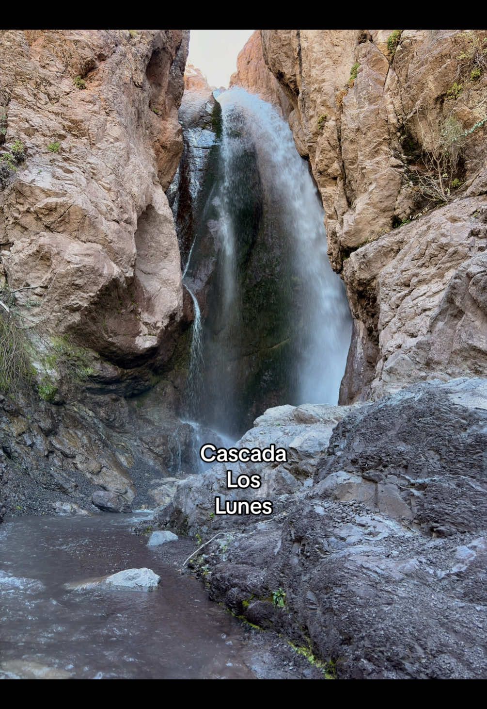 @Sebastian Moreno🏕️