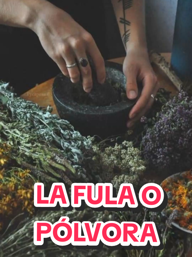 @Historias de religi&oacute;n