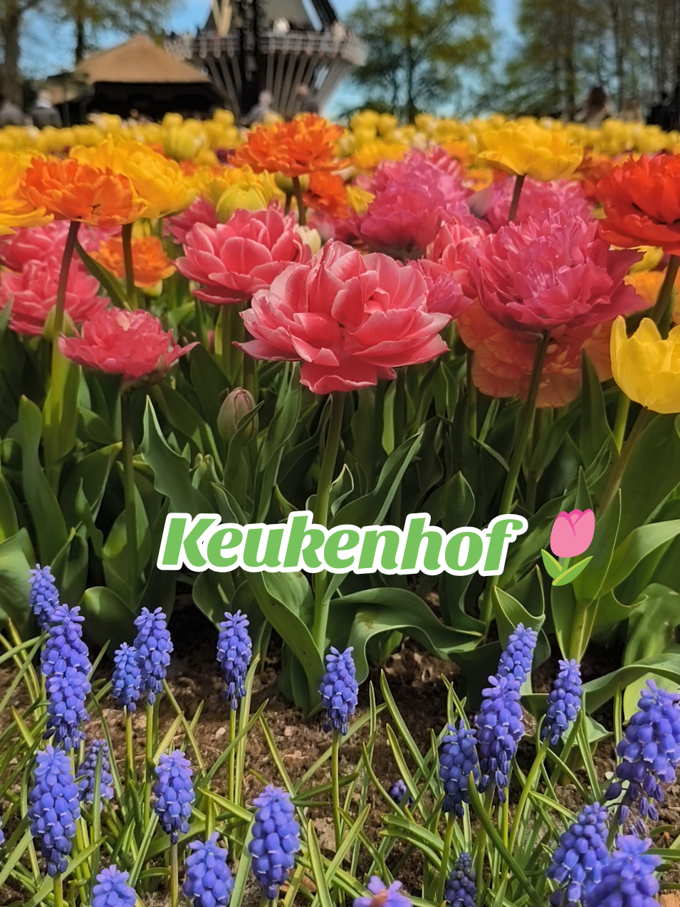 @Эльвира Кудинова