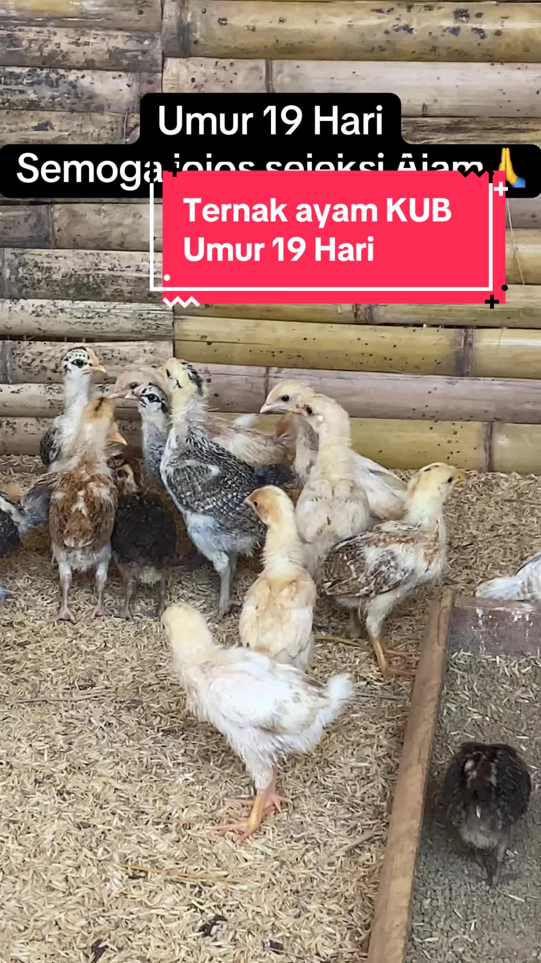 @Risweni Sirait-MUA