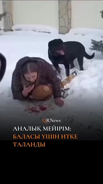 @QRNewskz