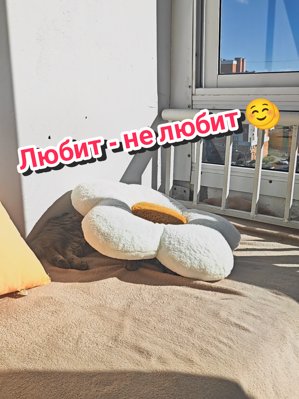 @Баст / Баста / Бася