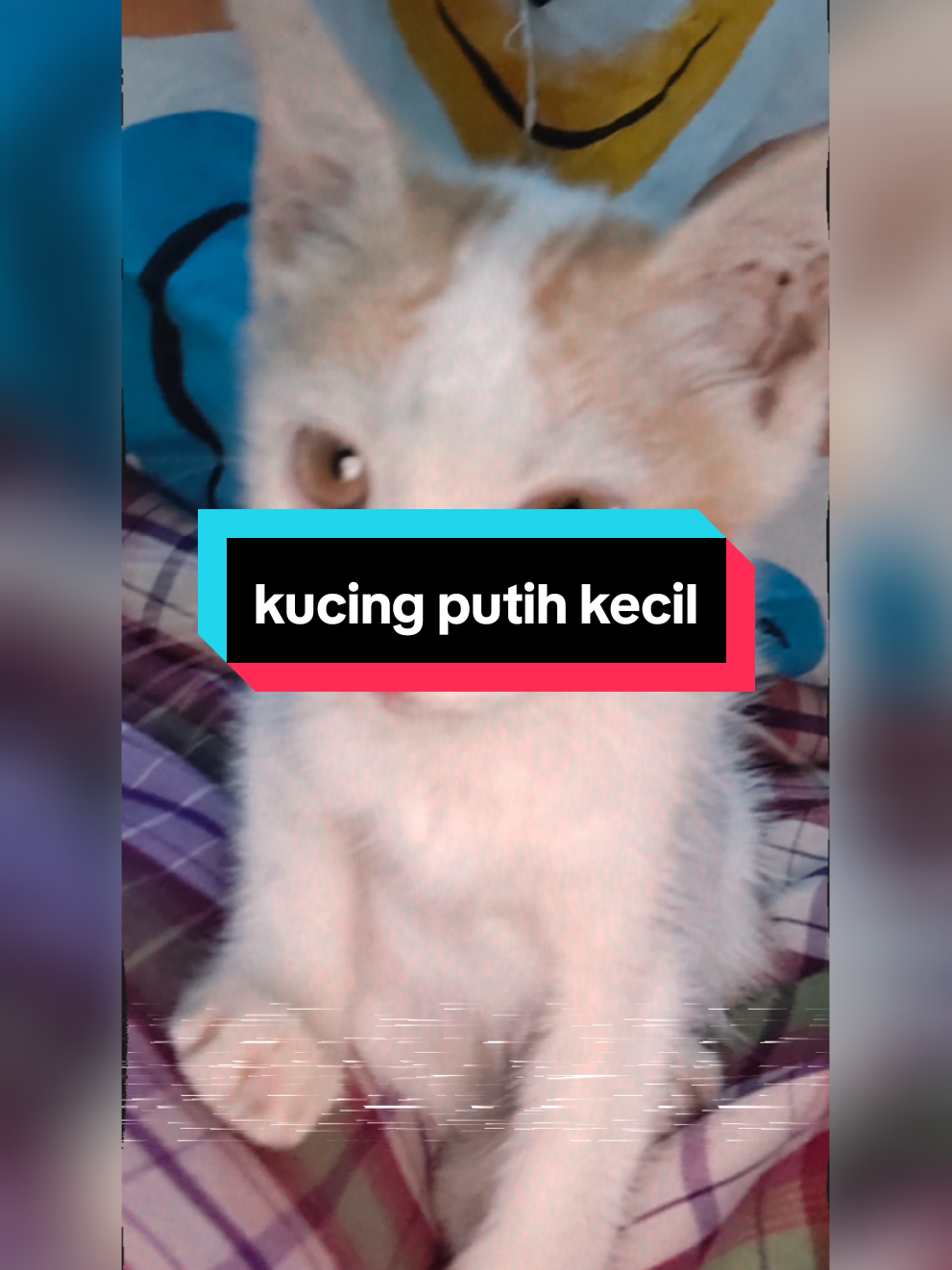 @FONZA KEBUMEN