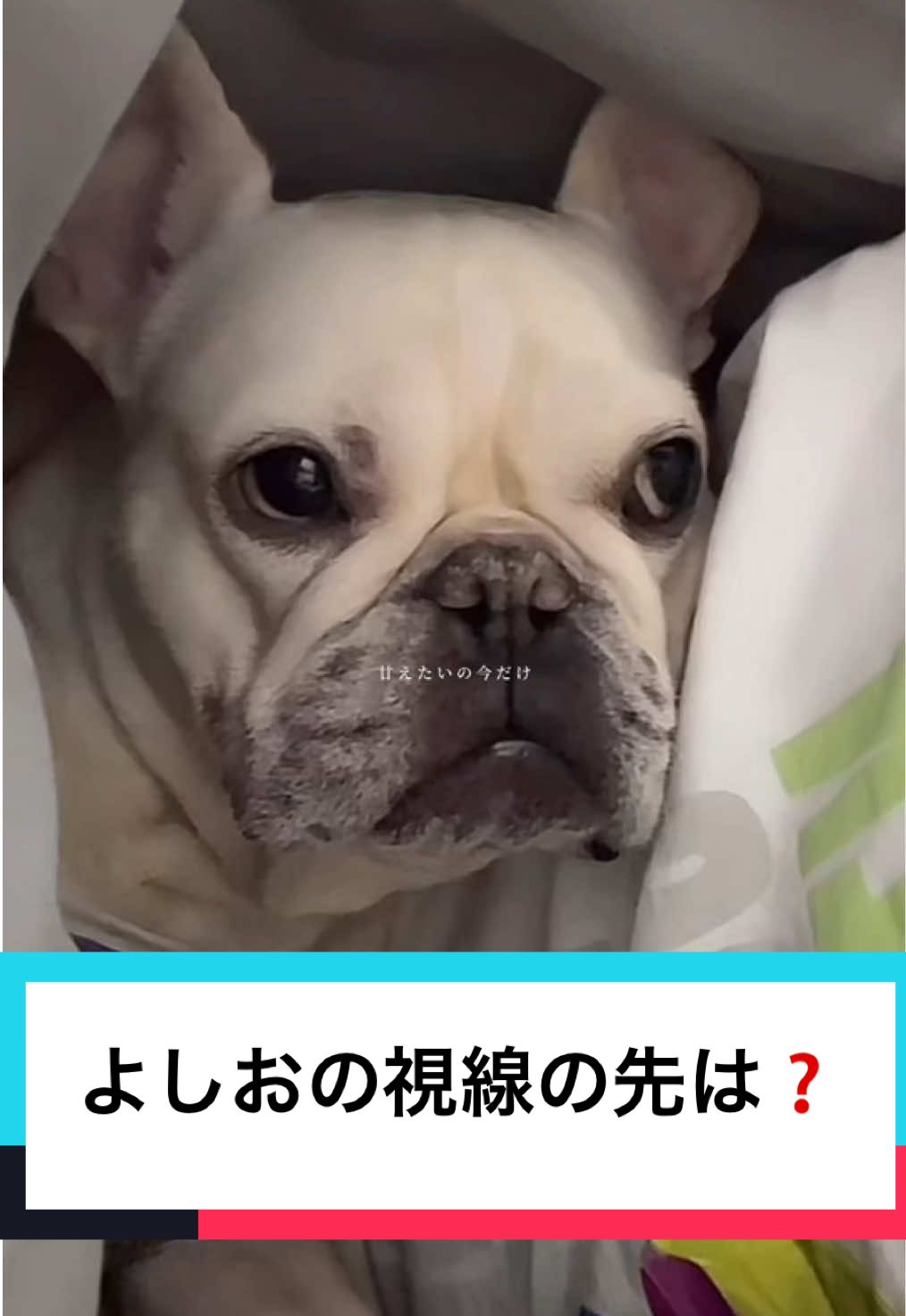 @rio.na1230たゃん