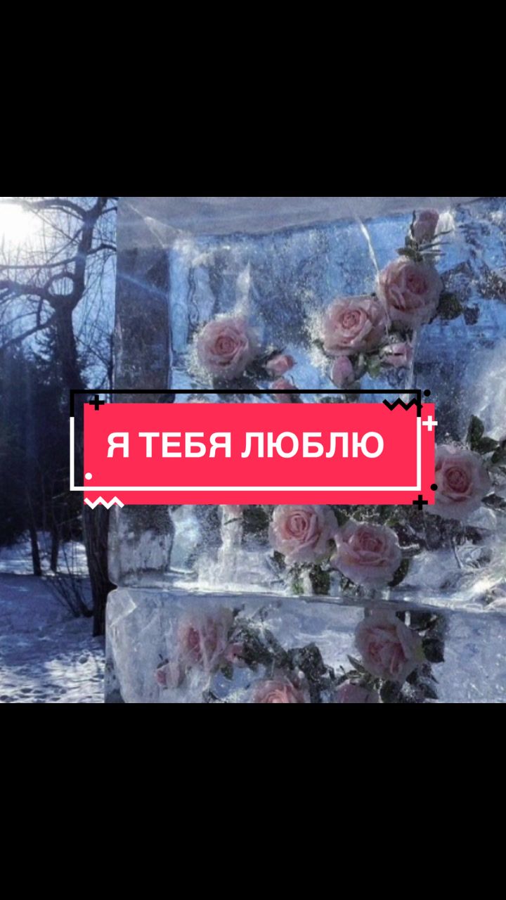 @݁˖𝜗ৎ ᥎ᥲᥒiᥣᥣᥲ‧˚꒰🐾୭ ˚