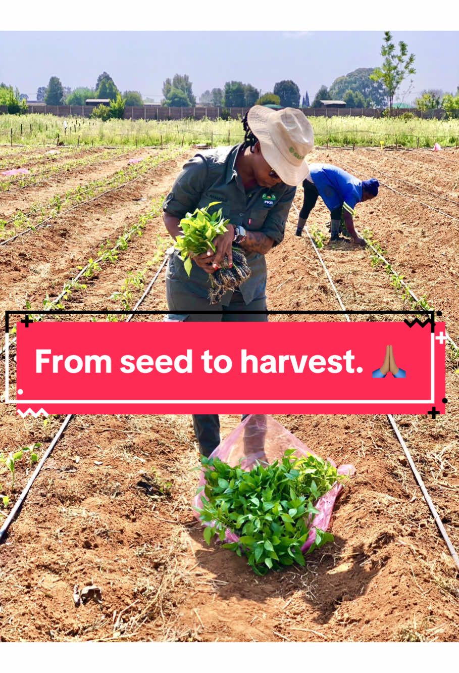 @Ms Kgomotso 🇿🇦 She Farms