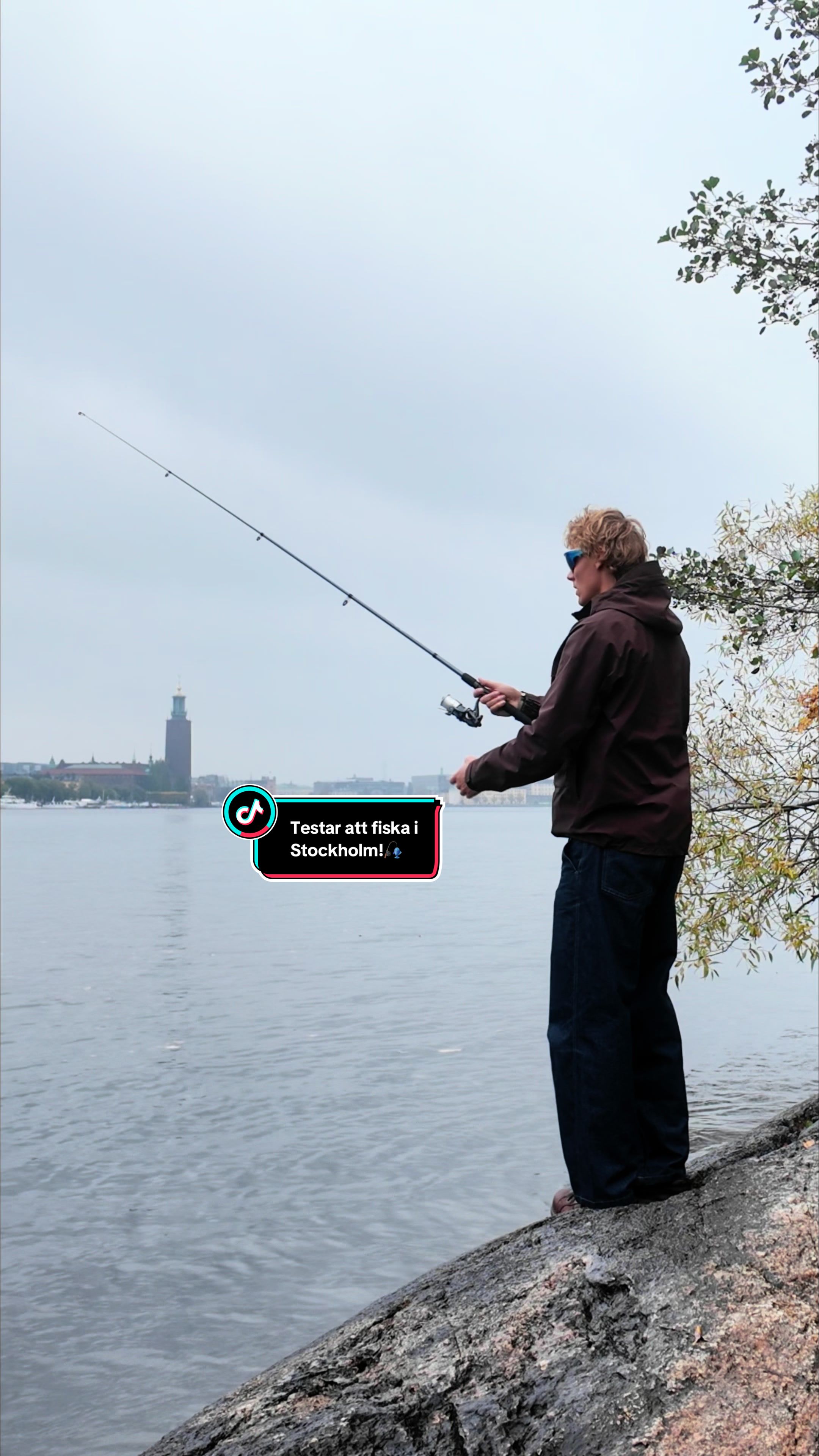@David &Aring;hman