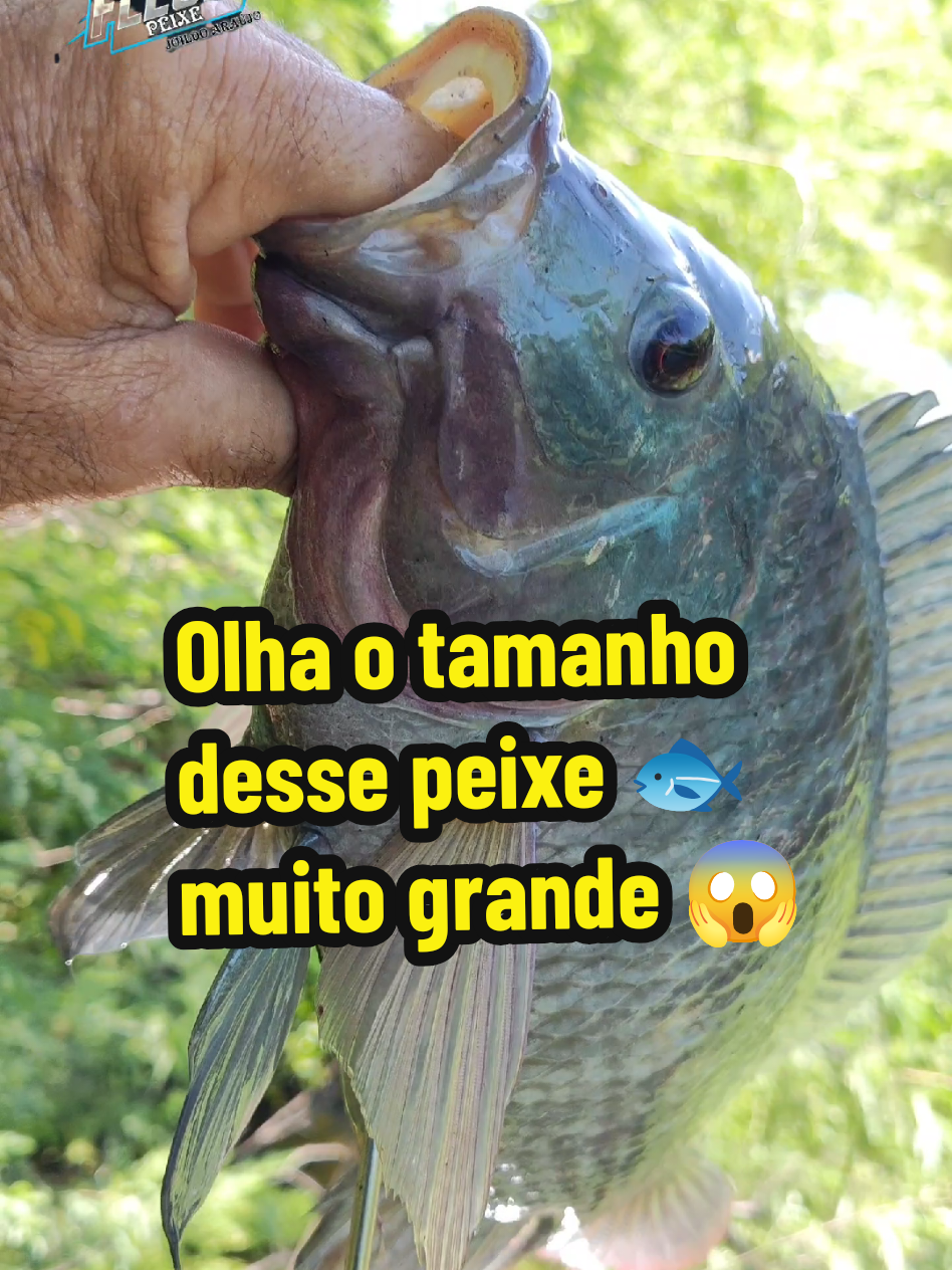 @Joildo Araujo