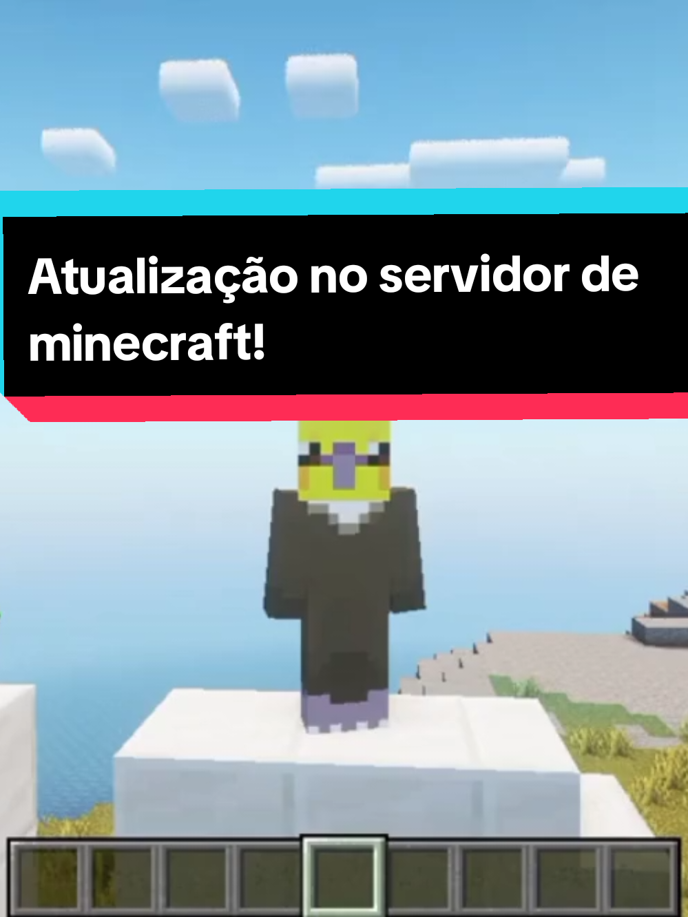 @Calopsita