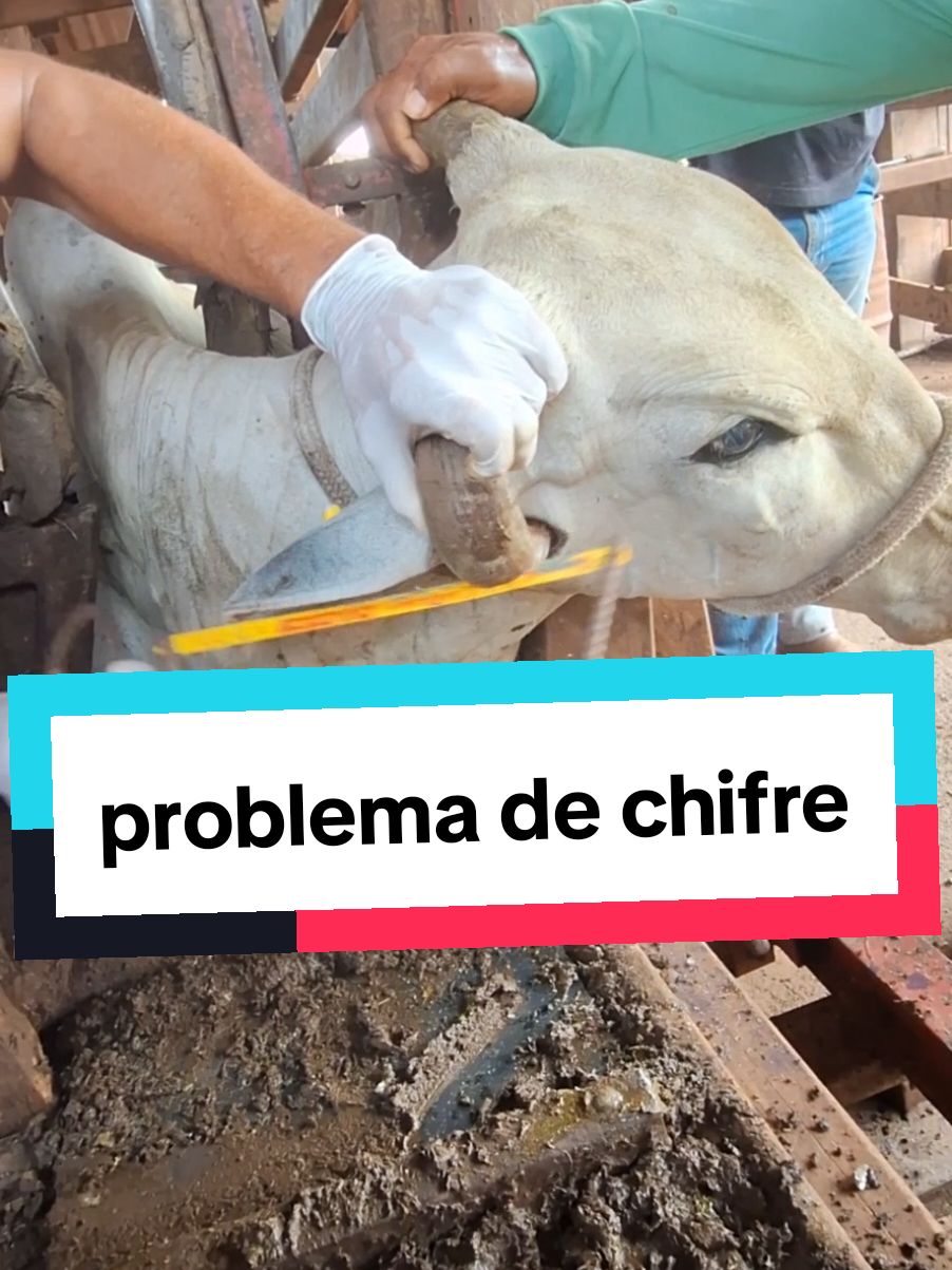 @Fabinho de Lima