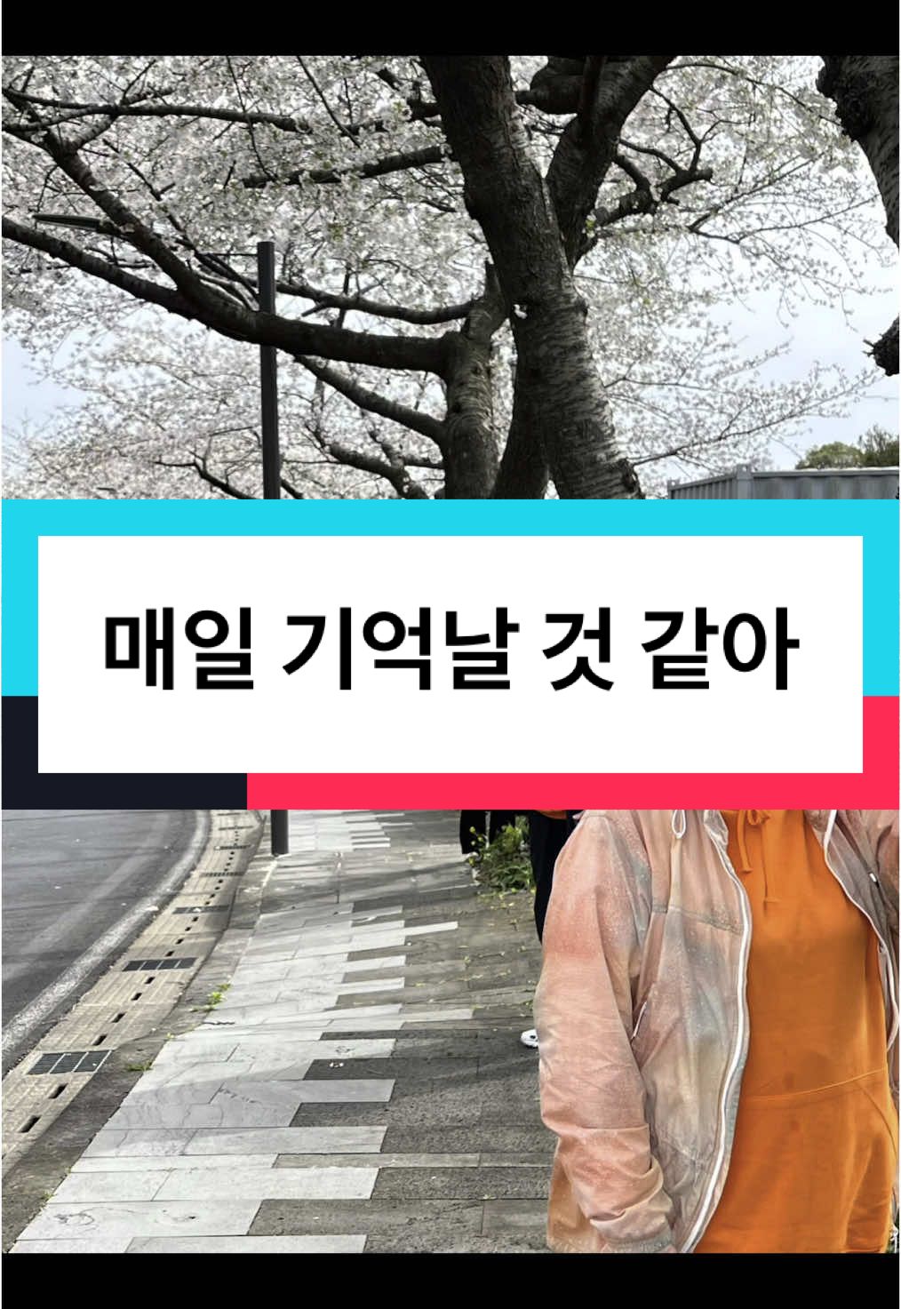 @패셔니스타❤️passion_estar