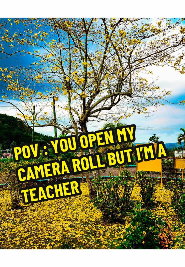@🇯🇲 ᴍͥɪsᴛᴇͣʀͫ ᴄ 👨🏽🏫