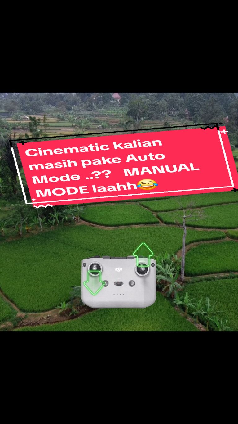 @mentangdrone