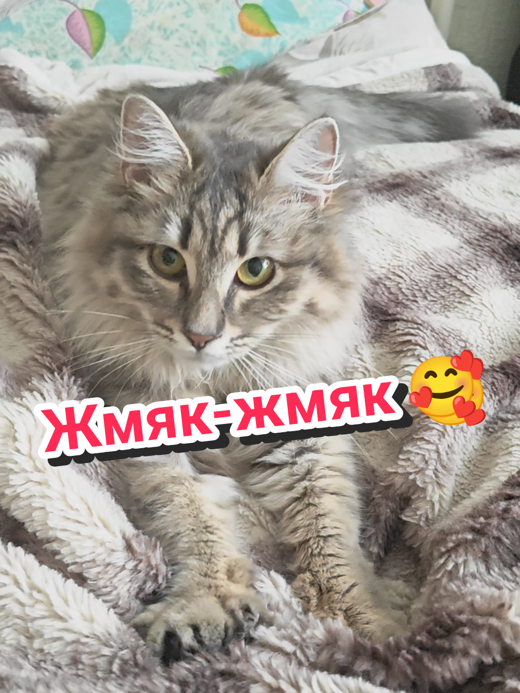 @Баст / Баста / Бася
