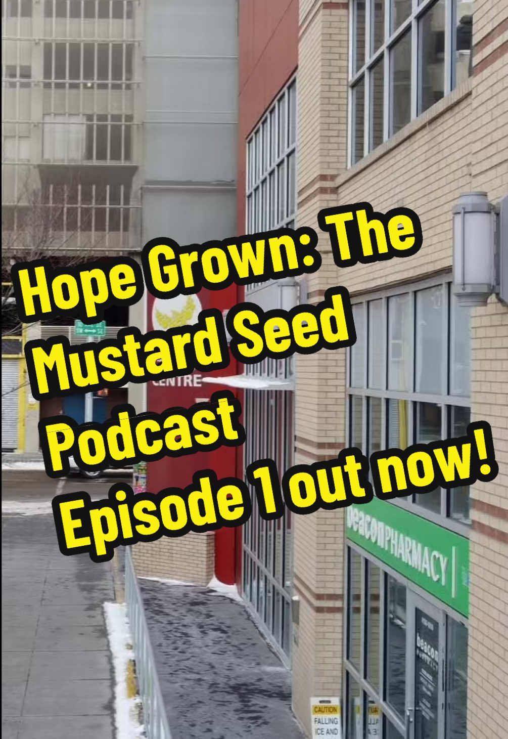 @The Mustard Seed