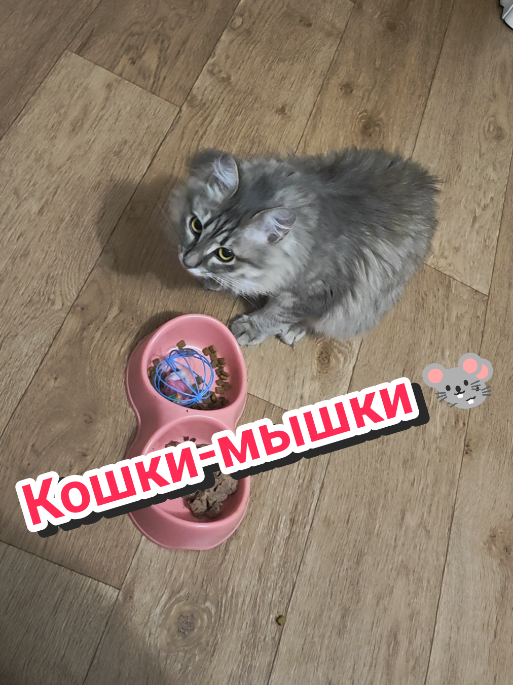 @Баст / Баста / Бася