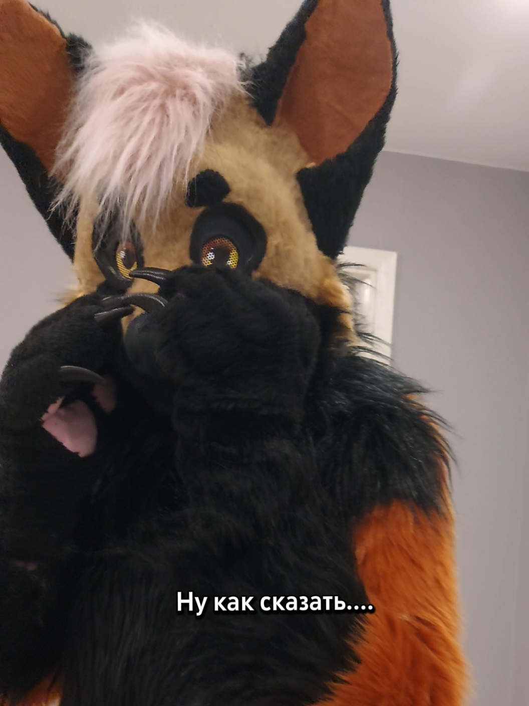 @RUSTY#WingedFox