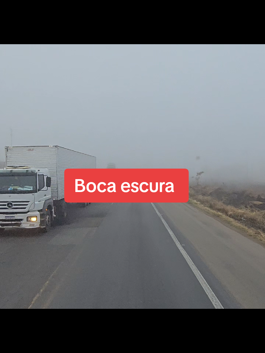 @Z&eacute; Caminhoneiro