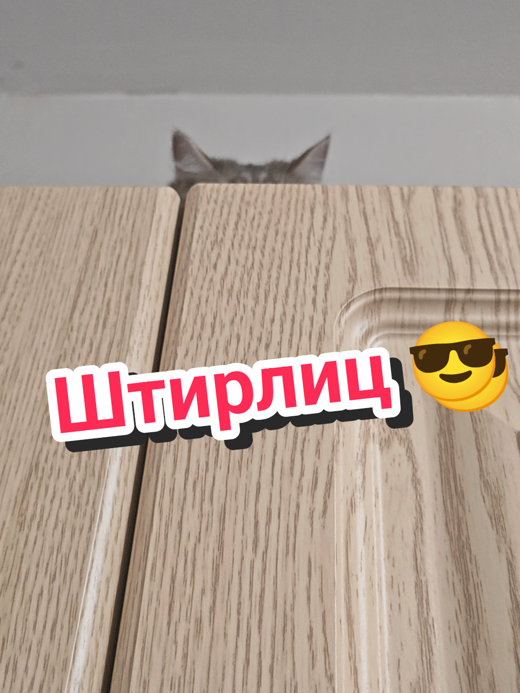 @Баст / Баста / Бася