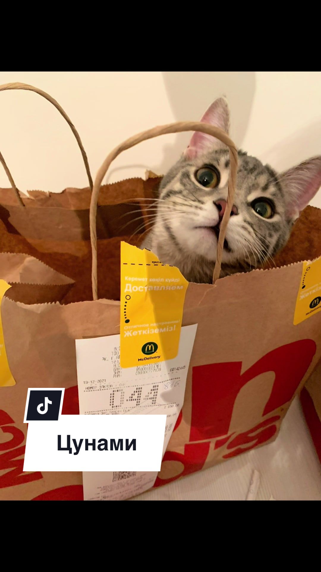 @Культ пушистого равновесия