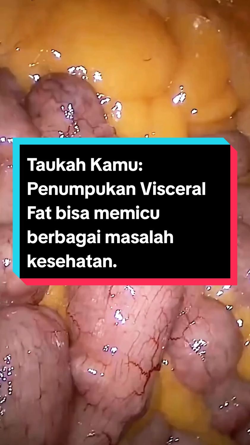 @Coach Mantul