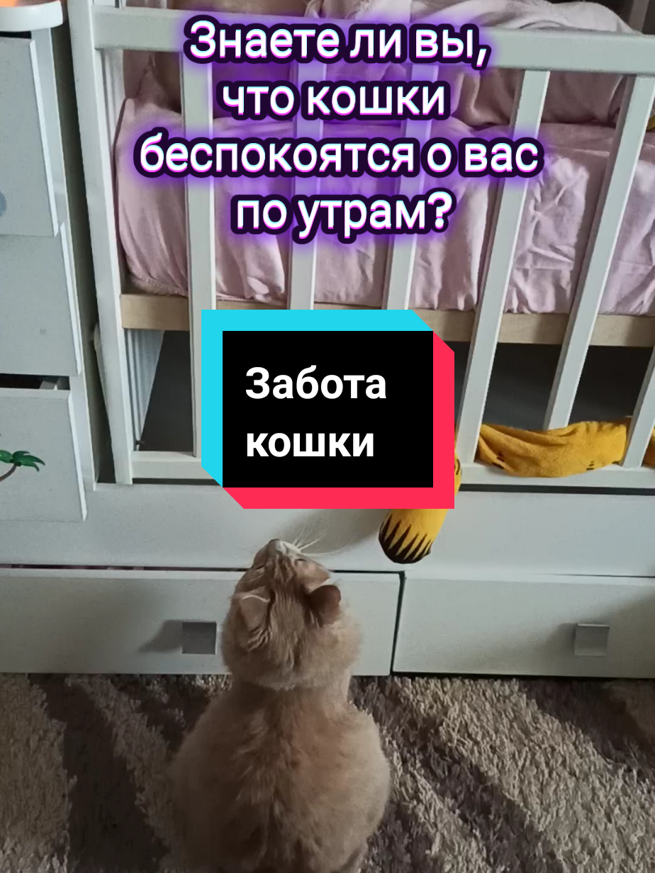 @leva.opakot