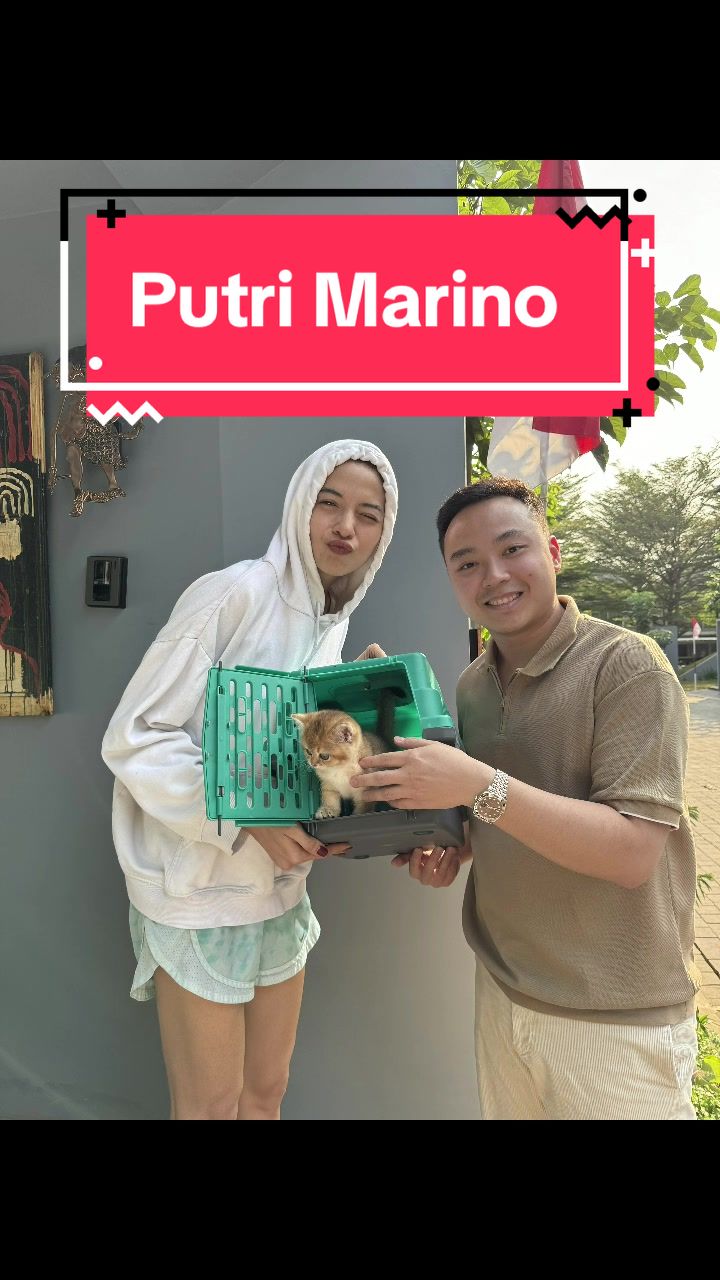 @Koko Guguk