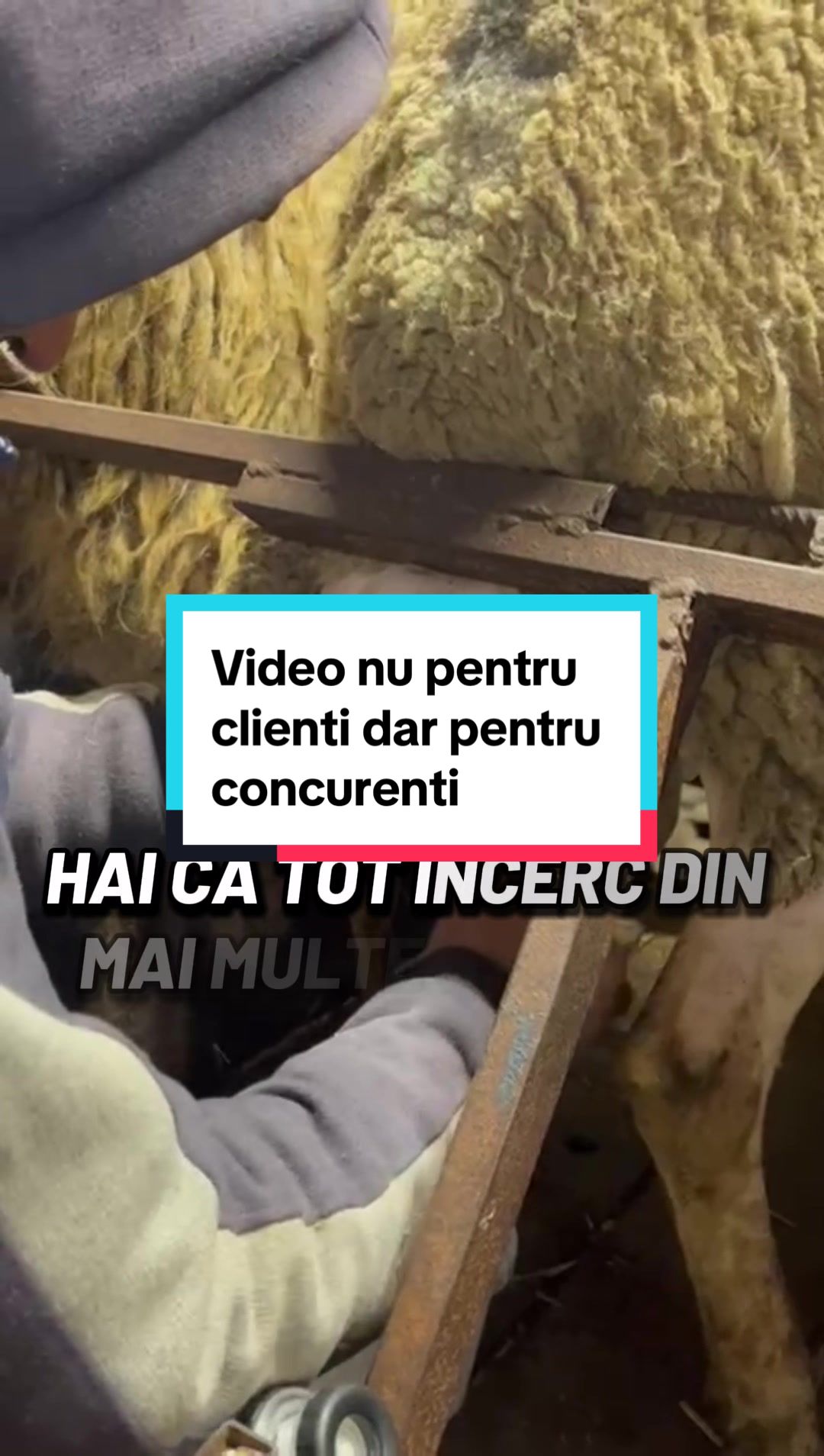 @Agroferma
