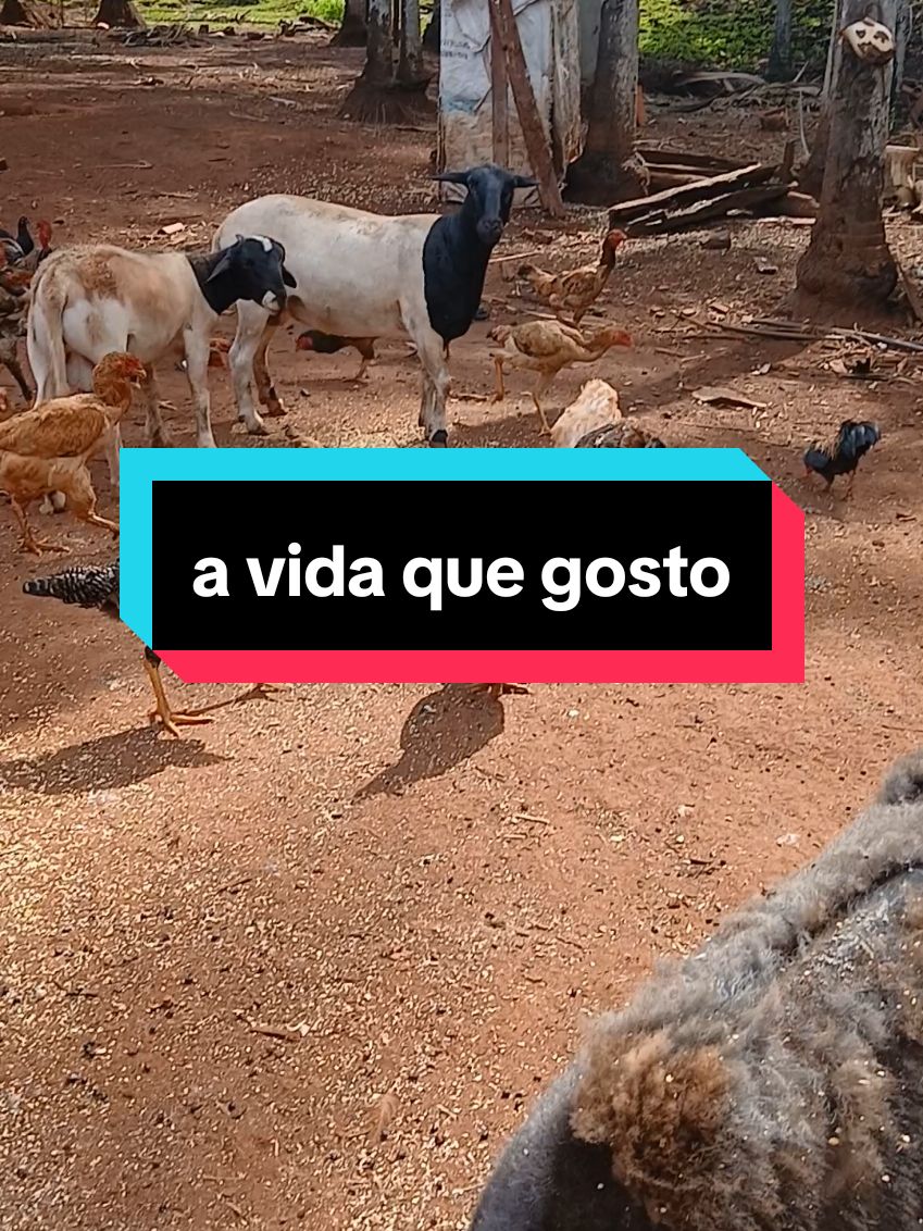 @Lucia Nunes