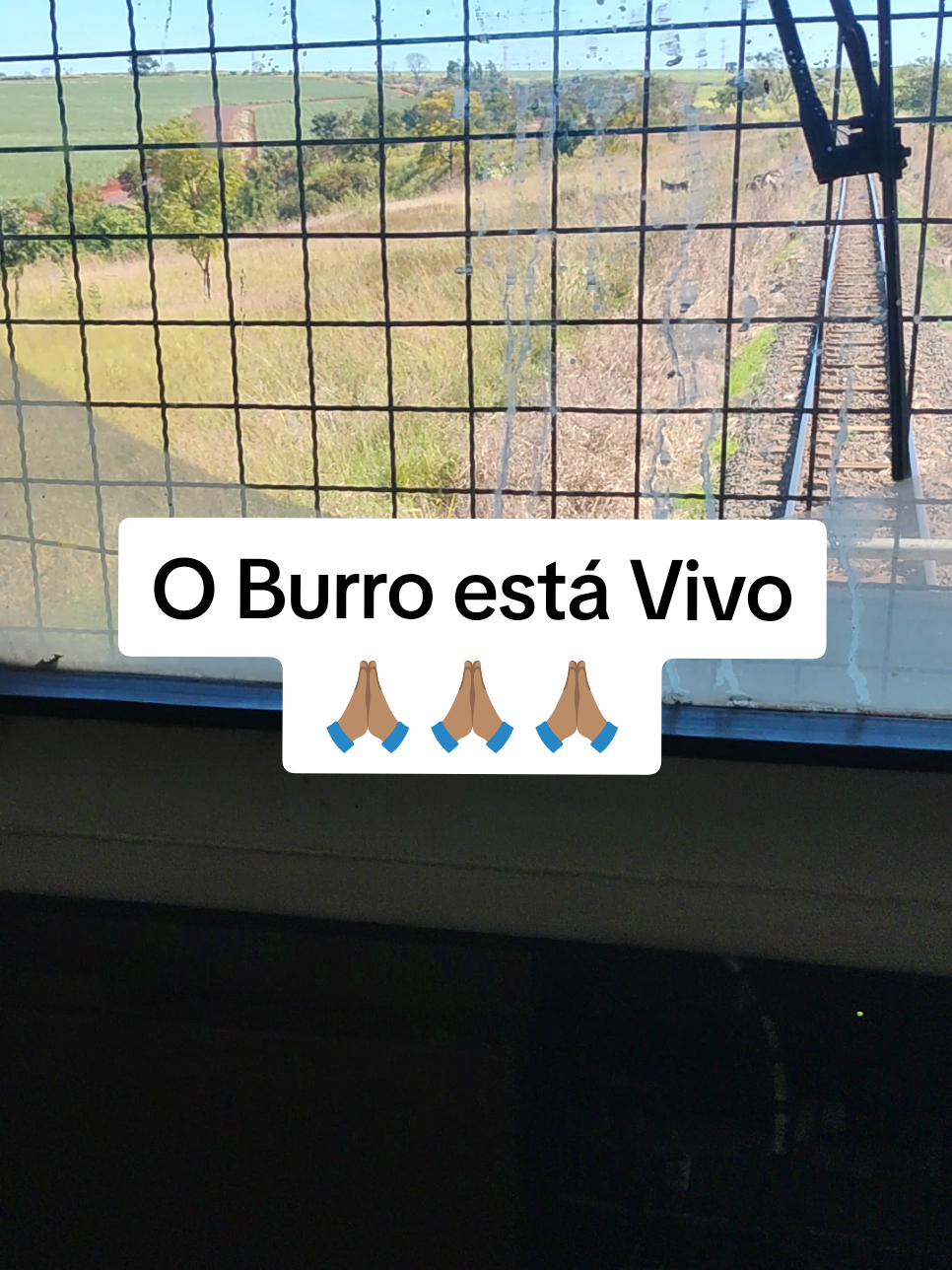 @Gilmar