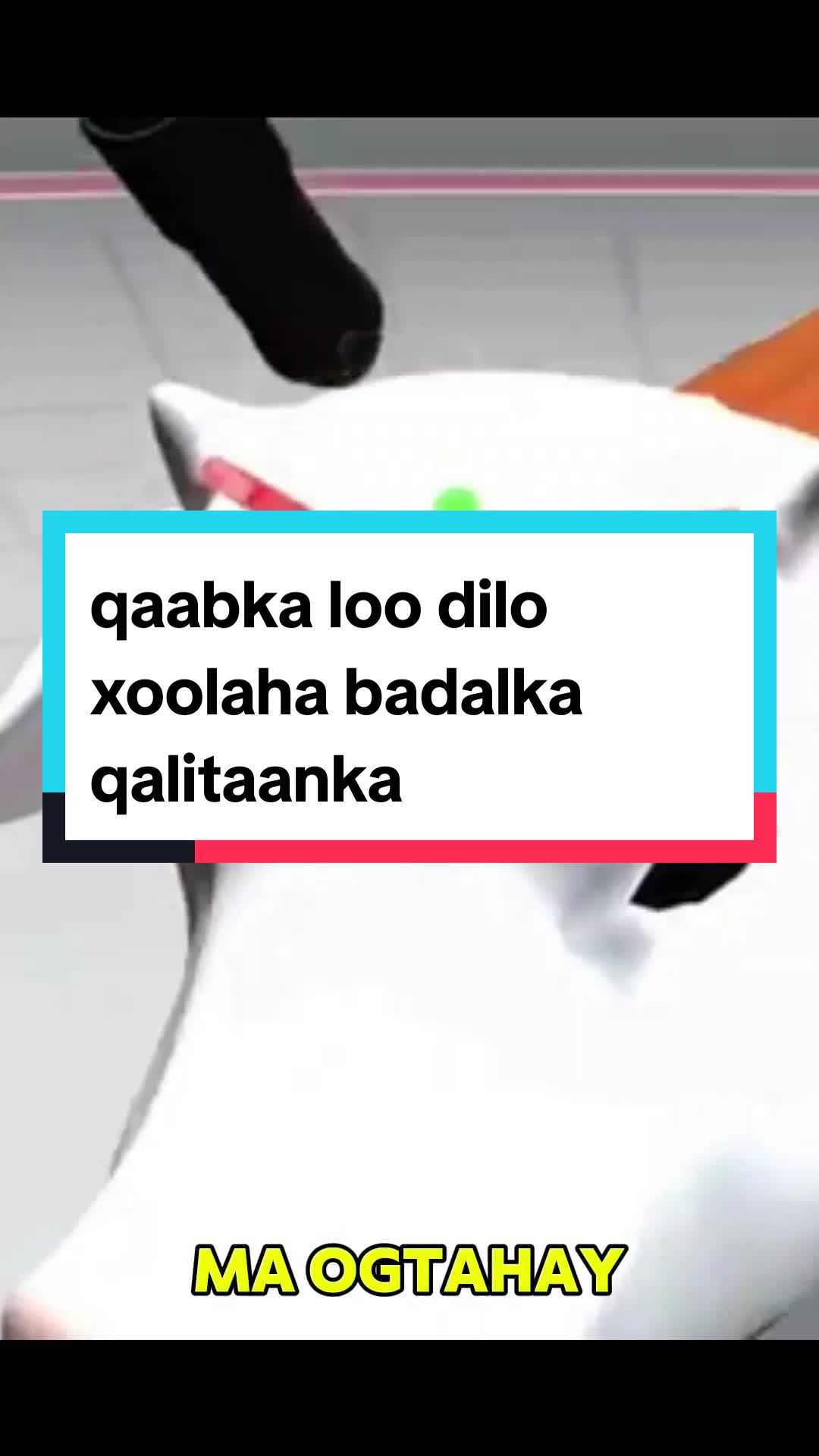 @MR QISO