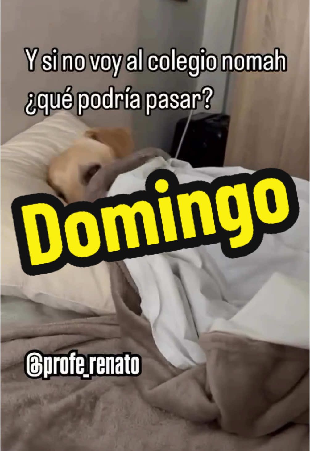 @ProfeRenato