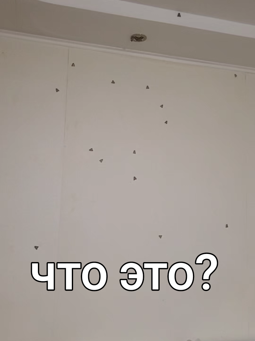 @Світлана