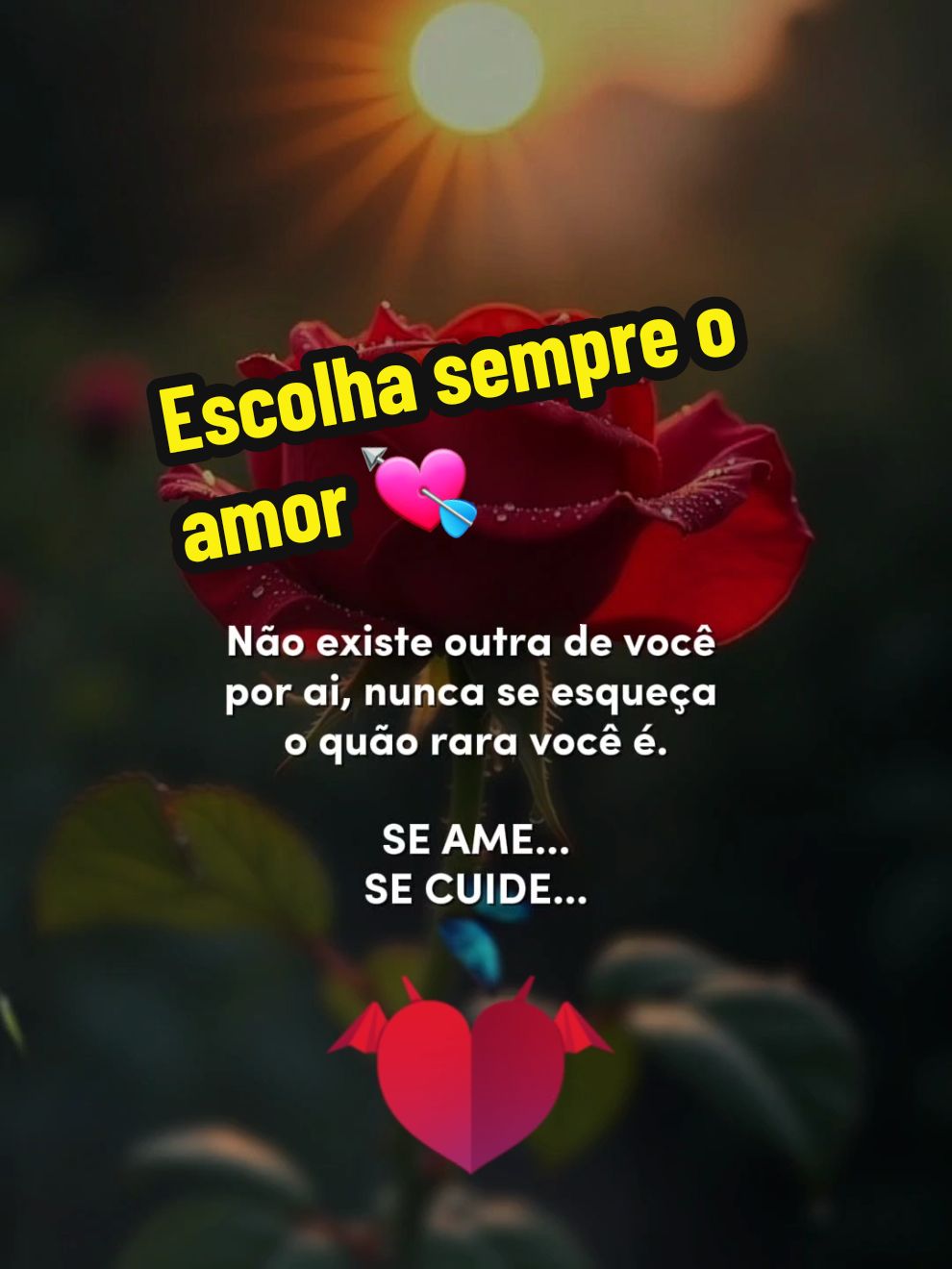 @Moda caipira