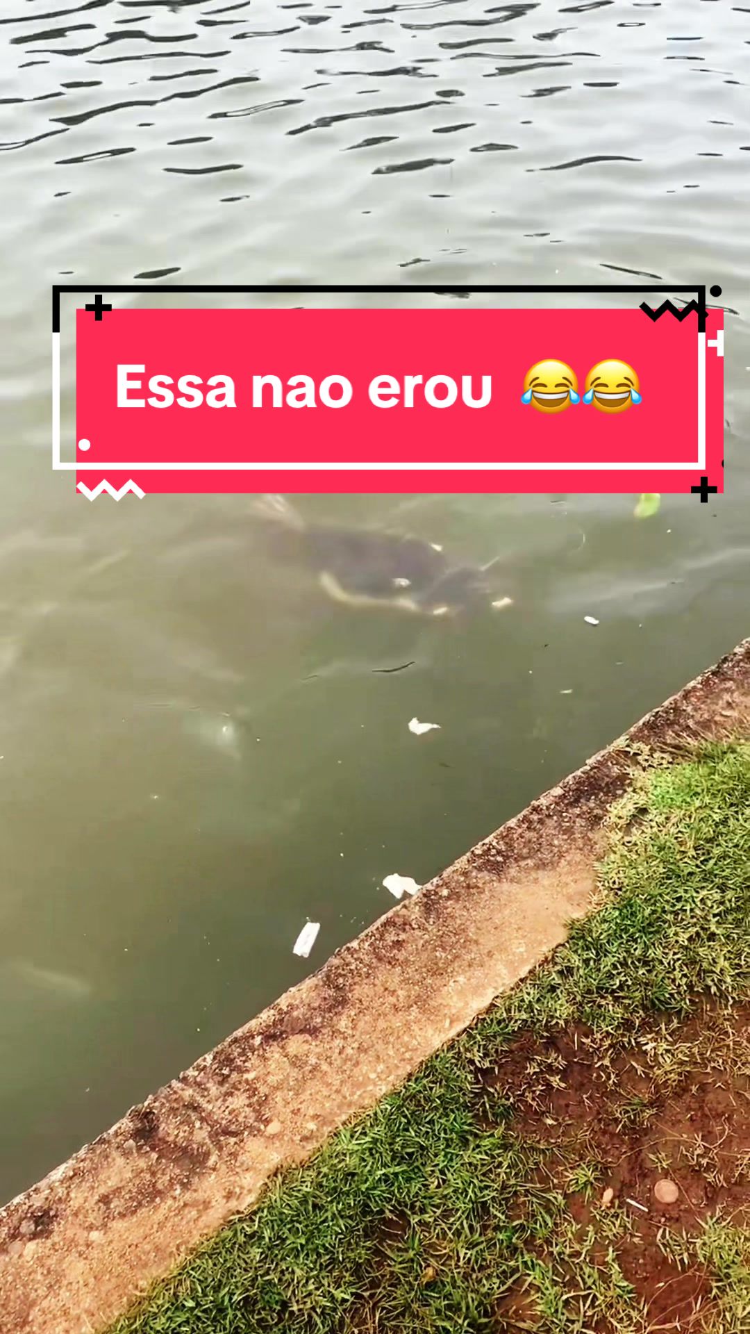 @thiagobombom
