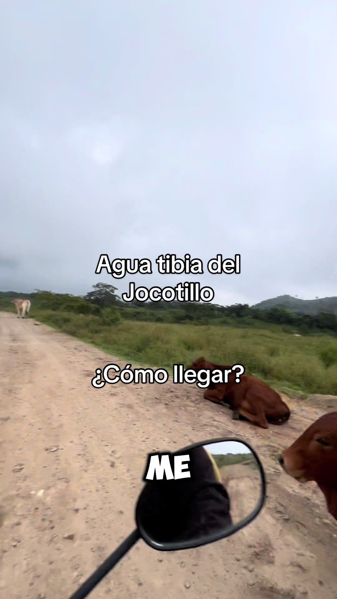@YBR.GT